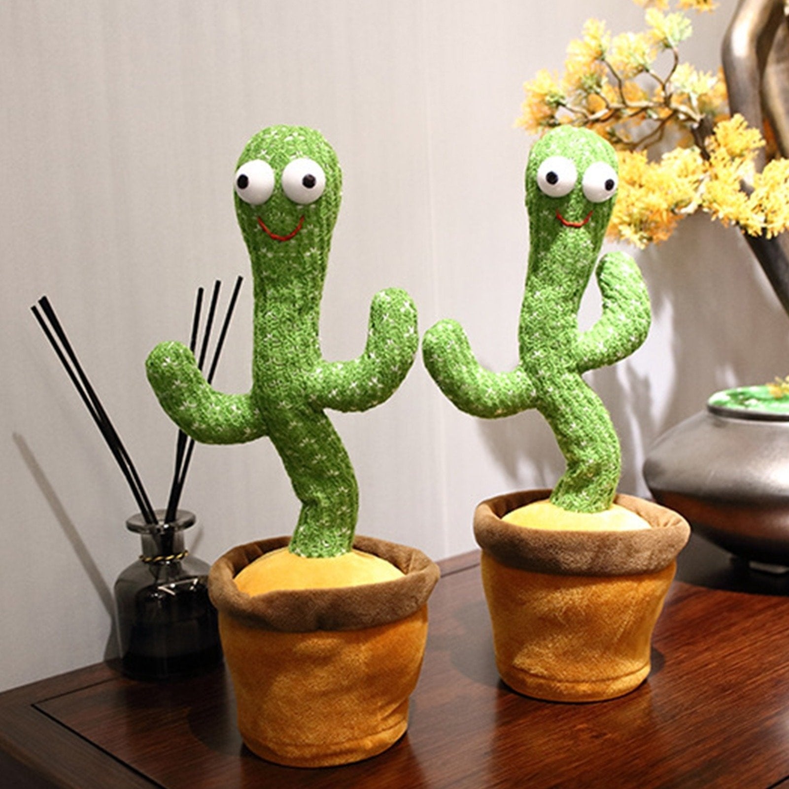 Cactus bailarín Musical